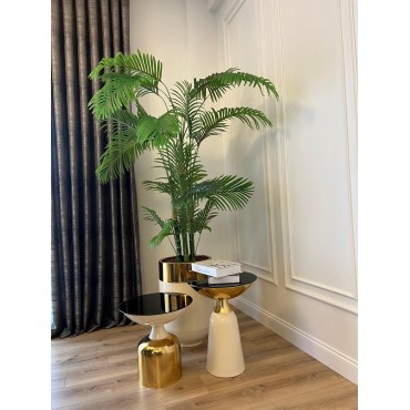 lotus ve darbuka kombin