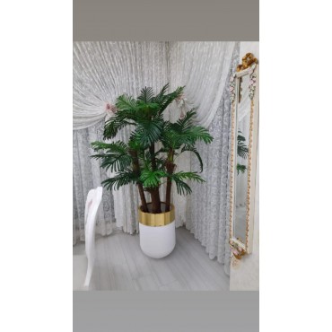 DARBUKA SAKSI  KREM GOLD KISA